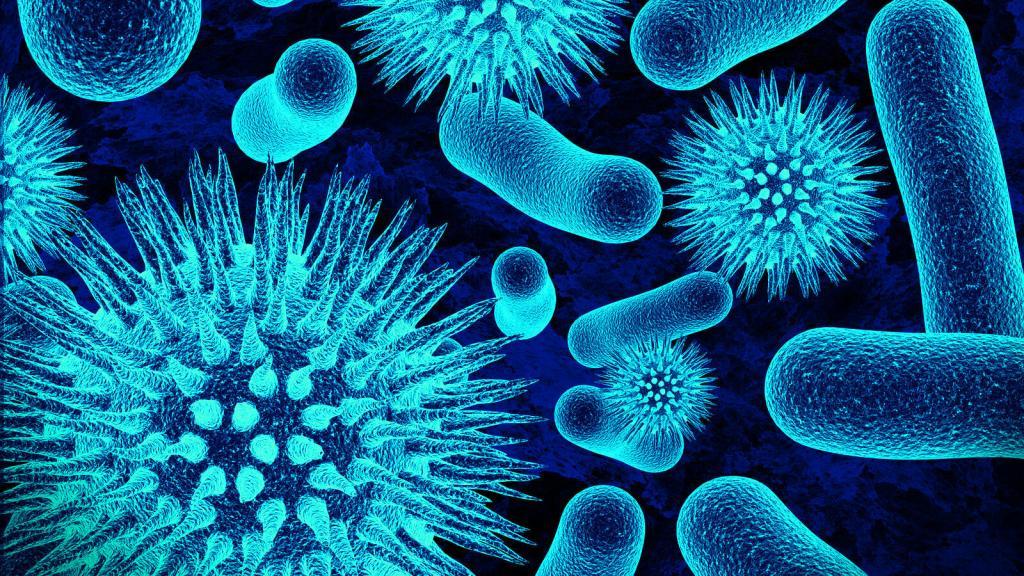 Hepatit A Hastalığı Nedir Ve Belirtileri