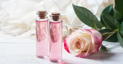 Gül Suyu Mucizesi: Her Cilt Tipine Uygun 4 Farklı Kullanım